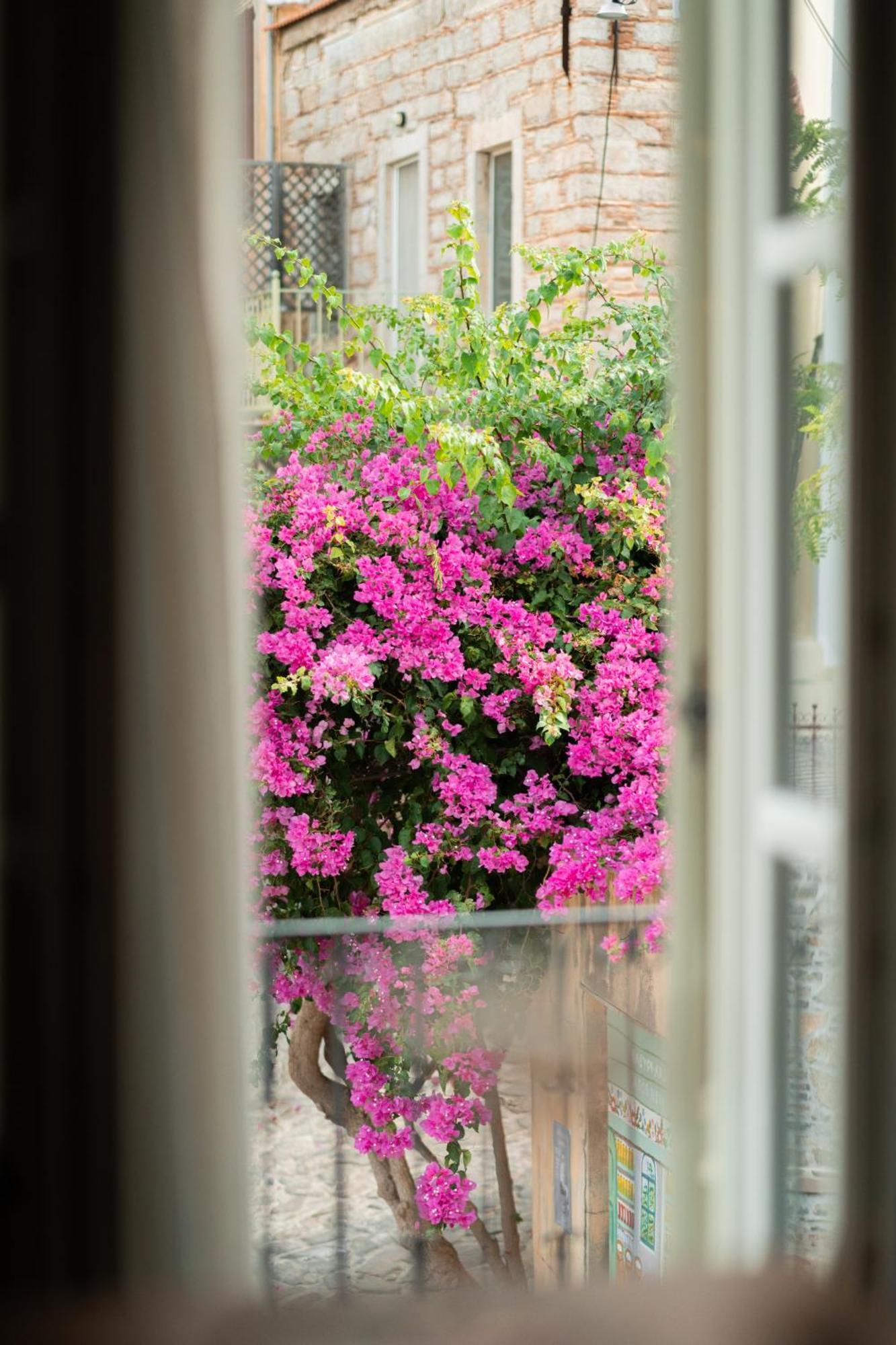 My Volissos Apartments エクステリア 写真